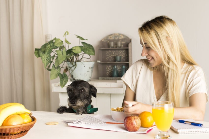 Frutas que os cães podem e não podem comer